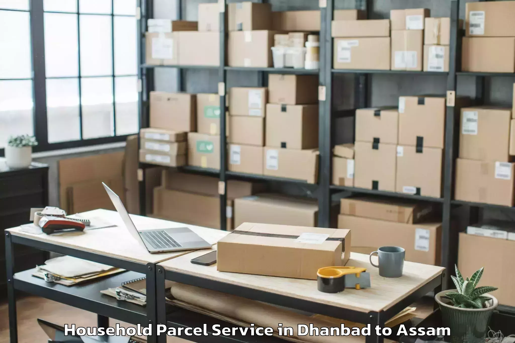 Affordable Dhanbad to Agomani Household Parcel